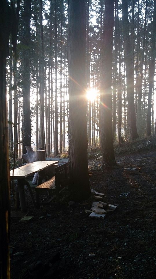 森のカフェ
