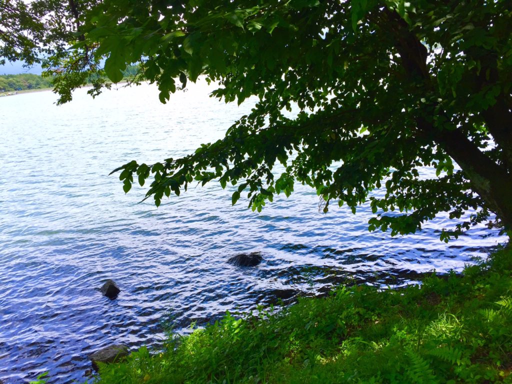 田貫湖の岸辺。