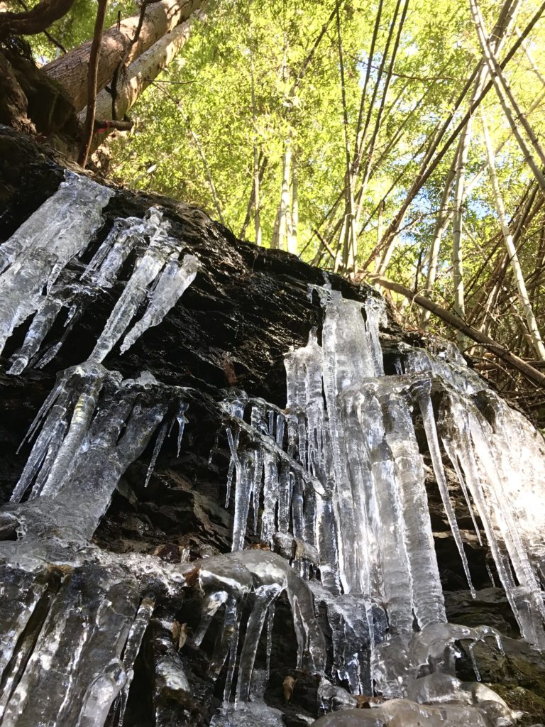 凍った滝。
