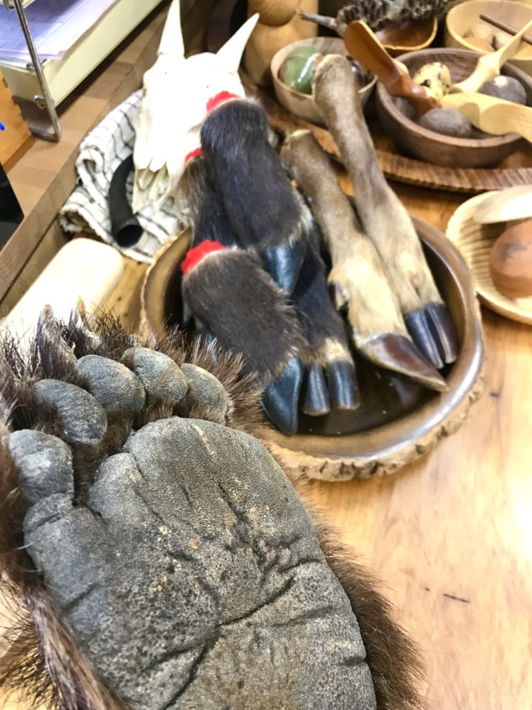 クマの手。