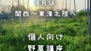 個人向けプログラムのご案内