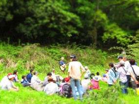 歌を作るキャンプをしよう★5/28(土)〜29(日)「森フェス前夜祭ミュージックキャンプライブ！」