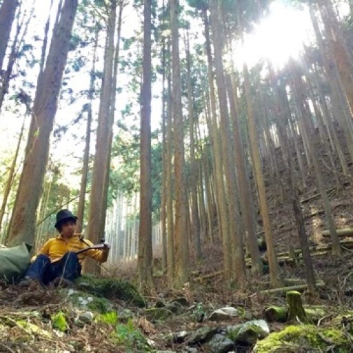 森のシンガーソングライター　杉林にて