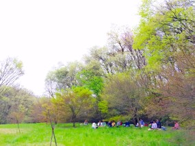 深い深い自分の中まで行くこと。レポート「森の歌会番外編 春と大地と地球とひとつ」