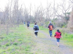 レポート「森の歌会 vol.17 ノルディックウォーク」