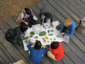 4/30(土)「森の歌会 vol.18 始まりの森で生命をいただく山菜の歌」