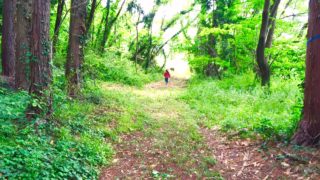 下見レポ「山梨の癒しの森 森のおんがくたいで行こう!」