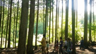 【山梨】親子で森を感じよう♫7/3(日)「皮むき間伐体験 森のおんがくや」@韮崎市