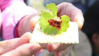 【東京】2/19(日)森の歌会 始まりの森で、生命をいただく山菜の歌@東京都稲城市