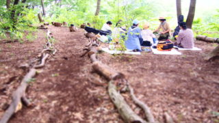 森の作曲から森の演劇まで。クリエイティブなキャンプをしよう。レポート「森フェス前夜祭ミュージックキャンプ」