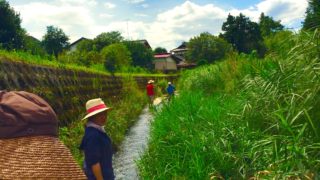 アニマnetさんの日常。8/17（水）森の旅74日目、栃木県栃木市。