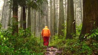 台風の日の森の姿。「星ふる学校 くまの木」「サシバの里自然学校」に行ってきました＠栃木県