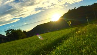 日本には美しい村がある。森の旅73日目、8/16（火）茨城県久慈群大子町。