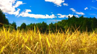 まずは福井に到着しました！9/4(日)森の旅92日目