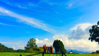 【演奏動画あり】ハックルベリーの森に集う、森の未来を考える人達＠福井県大野市