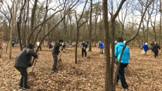 森と人の暮らし方の古代モデル「三富の平地林 千人くず掃き」