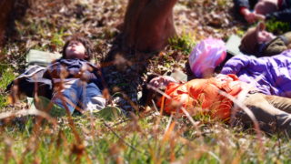 【福井】12/9(土)　冬の森に寝転んでみる！足羽山でごろんコンサート@福井県福井市