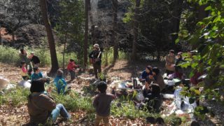 【演奏動画あり】森が味方をしてくれる日。レポート「落ち葉掃きと焚き火ライブ」