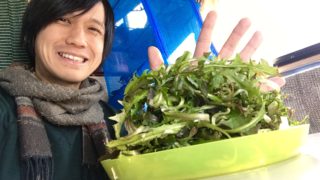 野草ズボラ飯 vol.6　タンポポのお浸し。