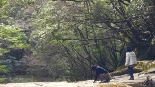 鷹鳥屋神社から藤河内渓谷へ。キャンピングカーで森の旅290日目。