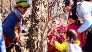 森のおんがくや終了、そしてフィトンチッドへ。272日目、山梨県韮崎市。