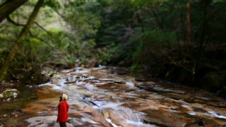 【演奏動画あり】藤河内渓谷で歌う。キャンピングカーで森の旅309日目。