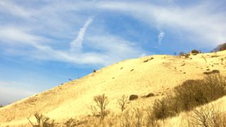 森のシンガーソングライター、九重～飯田高原へ。キャンピングカーで森の旅303日目。