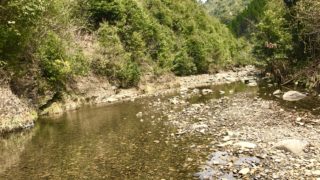 その森をどう活用できるか。キャンピングカーで森の旅306日目、宮崎県延岡市。