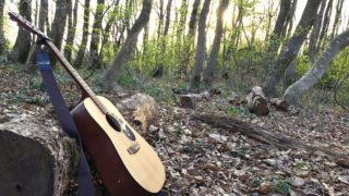 森のシンガーソングライター全国流通プロジェクト開始！ハックルベリーの森へ。福井県大野市。