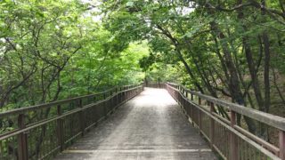 【演奏動画あり】みんなこの森が好きになる。ごろんコンサート下見編@長久手市