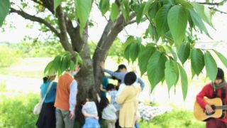 森から生き方を学ぶ①植物編〜今、起こっている事が本当。