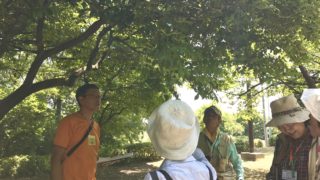 名古屋の自然観察会に行ってみました＠千種区茶屋ヶ坂公園