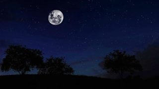 【東京】★9/3(日)やさしいやさしい夜の森 ナイトウォークソング@八王子市宇津木の森