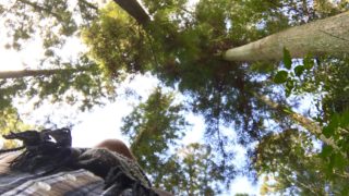 【満員御礼】9/27（水）自然を感じるごろんコンサート&繋がり広がれ音楽好き交流会♪♪in新百合ケ丘