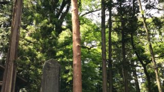 これが長野の森林文化！御柱祭〜小野神社へ。森の旅398日目。