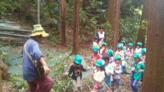 園庭の外は近所の森も秘境になる。レポート萩間保育園様ごろんコンサート！