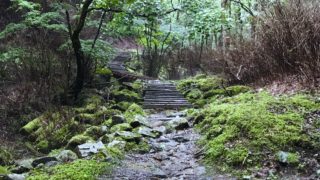 「水干」水と森への概念が変わる@多摩川源流レポ前編。