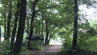 子どもを全力で遊ばせられるおじいちゃん達@森林インストラクター協会