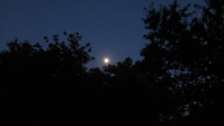 思いがけない風景に出会うこと。レポート「ナイトウォークソング＠八王子宇津木の森」