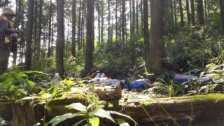 この森は私と親密なんだと言える。レポート「ウォーキングフラワーセラピーと森の歌＠青梅市花寿庵」