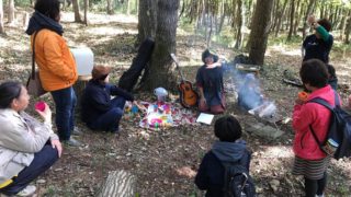 空中を飛びながら見る森と、下から寝転んで見る森と。レポート「太陽の光とドングリの森へ」