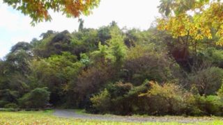 開発の危機！横浜市「瀬上の森」に行ってみました。キャンピングカーで森の旅523日目。