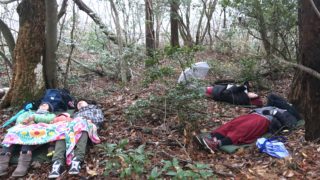 【演奏動画あり】雪が落ちてくるのを寝転んで眺める！レポート「足羽山でごろんコンサート」