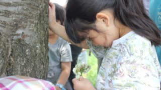 【栃木】1/13(土)始まりの森で生命をいただく七草の歌@アニマnet森カフェ