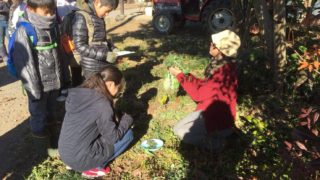 春に七草を食べるのはなぜ？レポート「始まりの森で生命をいただく七草の歌＠アニマnet森カフェ」