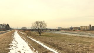 自然はいつも、絶妙なタイミングで魅せてくる。森の旅588日目、東京都多摩市。