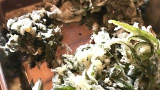 いよいよ明日開催！野草を調理してみました。キャンピングカーで森の旅569日目。