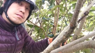 森のシンガーソングライターの庭仕事！キャンピングカーで森の旅609日目、栃木県栃木市。