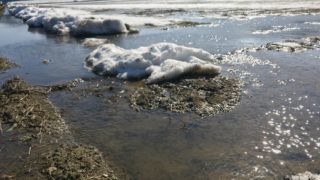 豪雪の爪痕、雪融けの福井県へ。キャンピングカーで森の旅622日目。