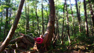 めっちゃ癒される！森林のプロが教える「森で寝転ぶコツ②実践編」
